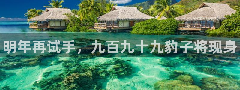 南宫NG平台app下载安装