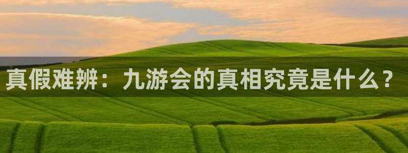 南宫NG科技赋能,让平台更有趣