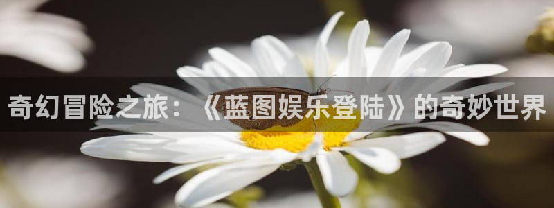 壹号大舞台有梦你就来