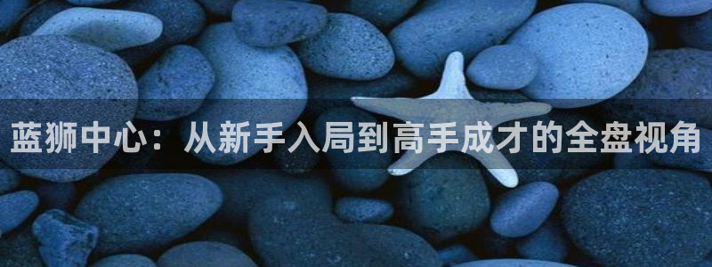 南宫NGcom