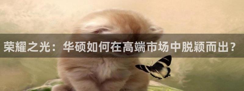 南宫NG注册链接入口
