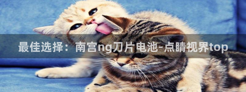 南宫NG放水时间