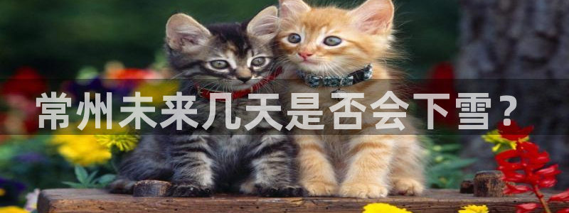 南宫NGapp网页入口