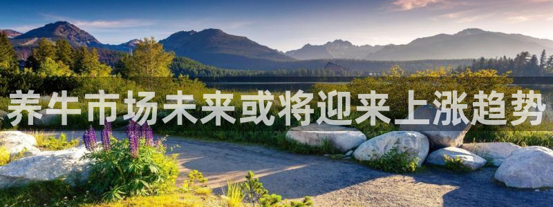 南宫NG注册入口与教程