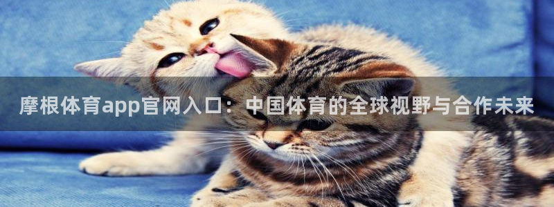 壹号app官网版下载