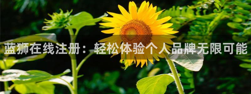 南宫NGapp最新版怎么下载苹果