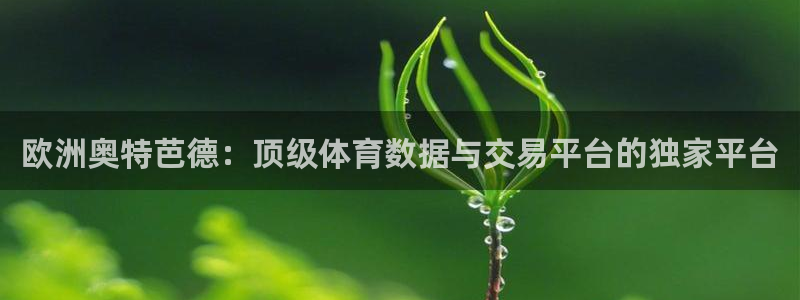 壹号平台下载