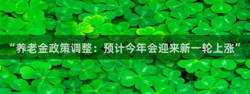 南宫NG加拿大