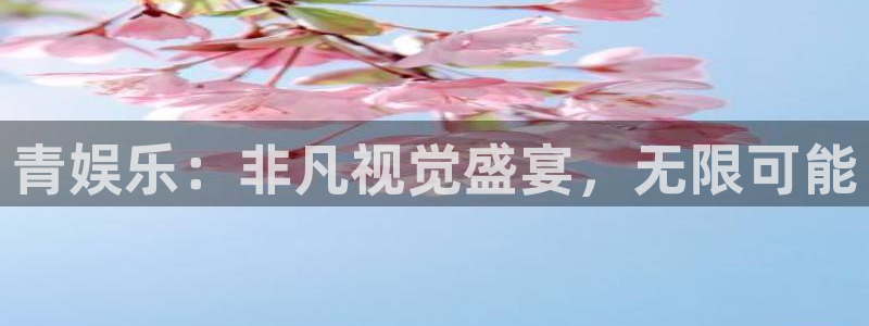 壹号top娱乐