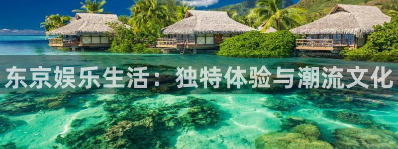 南宫NG下载入口