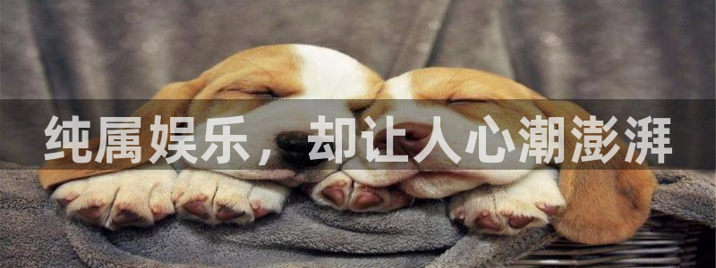 南宫NG-ng大舞台,有梦你就来