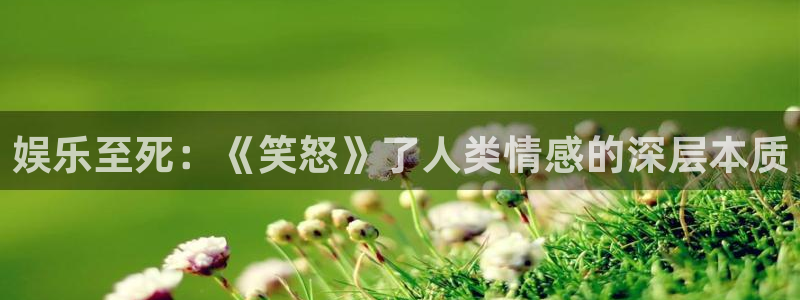 南宫NG下载链接是多少