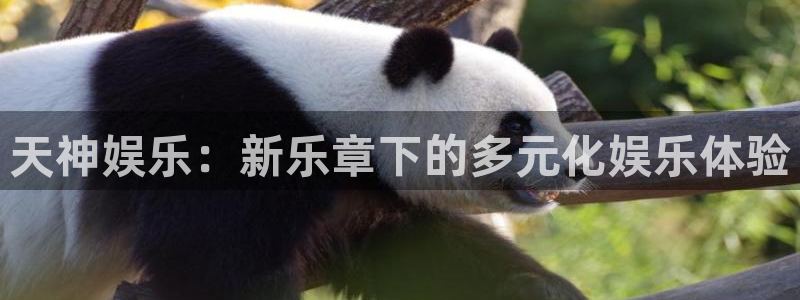 壹号大舞台下载链接