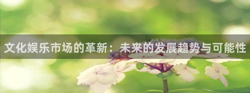南宫NG注册入口与教程