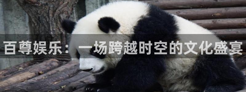 南宫NGapp