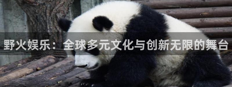 南宫NG注册