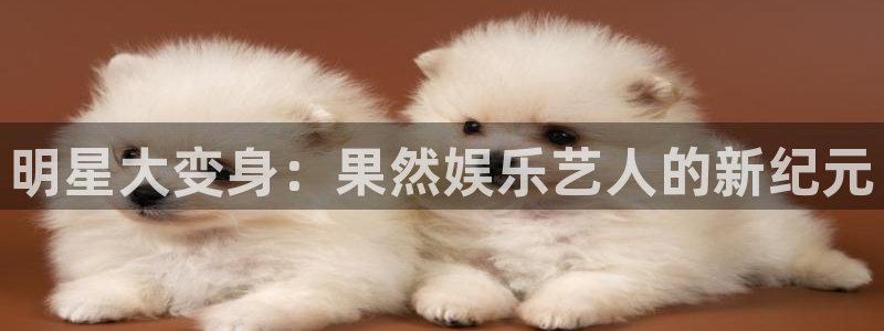 南宫NG(com.youad.authst)：明星大变身：果然娱乐艺人的新纪元