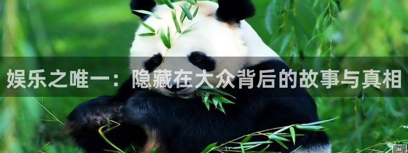 伟德国际集团 壹号(one game)：娱乐之唯一：隐藏在大众背后的故事与真相